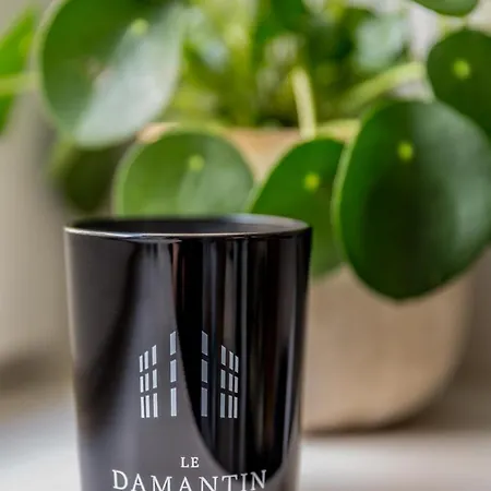 Le Damantin & Hotel Paris